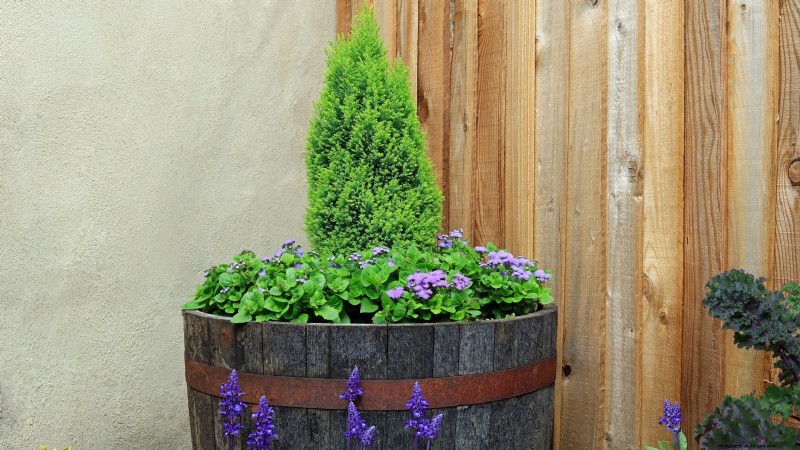 Expert Spring Container Garden Combinations: 7 Pro Designs