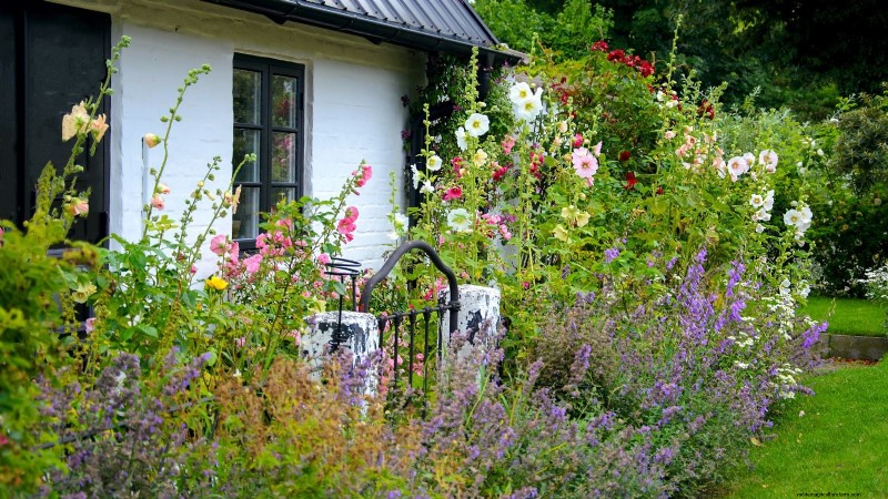 Shady Cottage Gardens: A Step-by-Step Guide to Growing in Shade