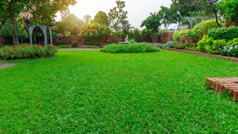 Shady Cottage Gardens: A Step-by-Step Guide to Growing in Shade