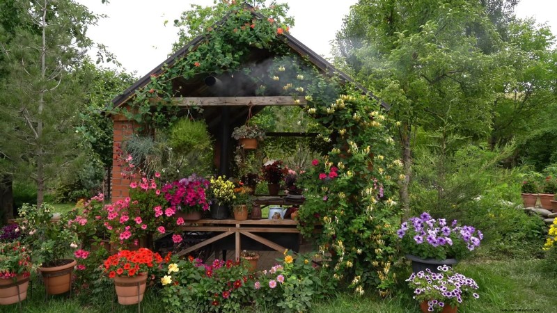 Shady Cottage Gardens: A Step-by-Step Guide to Growing in Shade