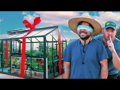 Shady Cottage Gardens: A Step-by-Step Guide to Growing in Shade