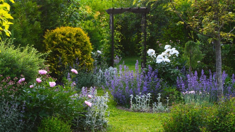 Shady Cottage Gardens: A Step-by-Step Guide to Growing in Shade