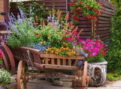 Shady Cottage Gardens: A Step-by-Step Guide to Growing in Shade
