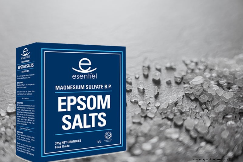 Epsom Salt in the Garden: Separating Fact from Fiction