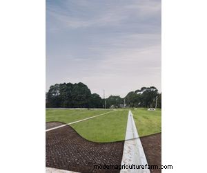 Atlantis Turf Cell®: Root Reinforcement & Aeration for Healthy Lawns