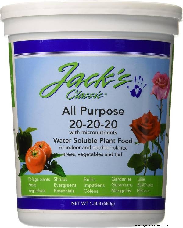 Bougainvillea Fertilizer Guide: Boost Blooms & Growth