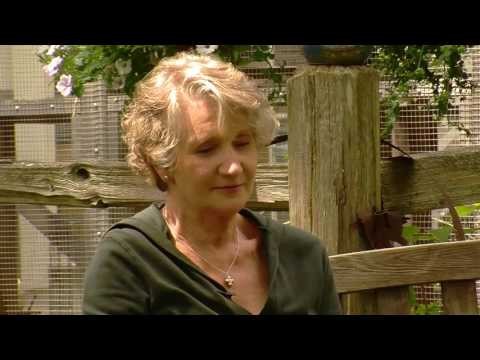 Benefits of Backyard Chickens: A Beginner s Guide