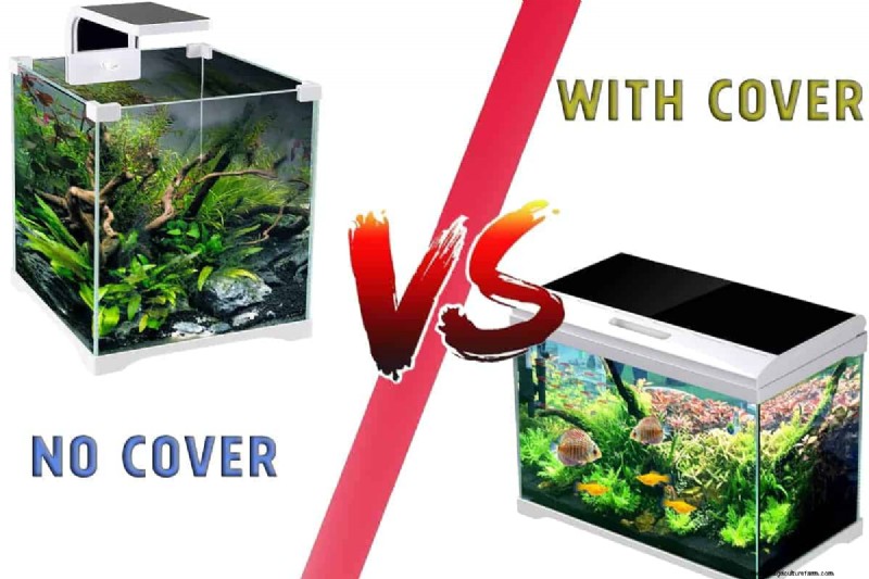 Aquarium Lids: Benefits, Drawbacks & Whether You Need One