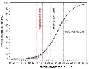 Dwarf Shrimp & Starvation: Impact on Health & Lifespan