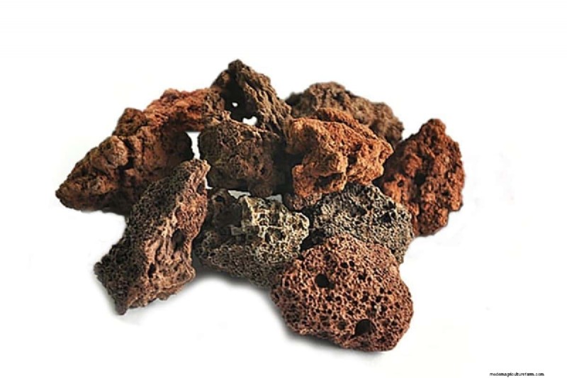 Lava Rock in Aquariums: Benefits, Drawbacks & Aquarium Setup