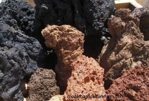 Lava Rock in Aquariums: Benefits, Drawbacks & Aquarium Setup