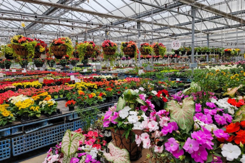 Avoid These Common Mistakes at Your Local Garden Center