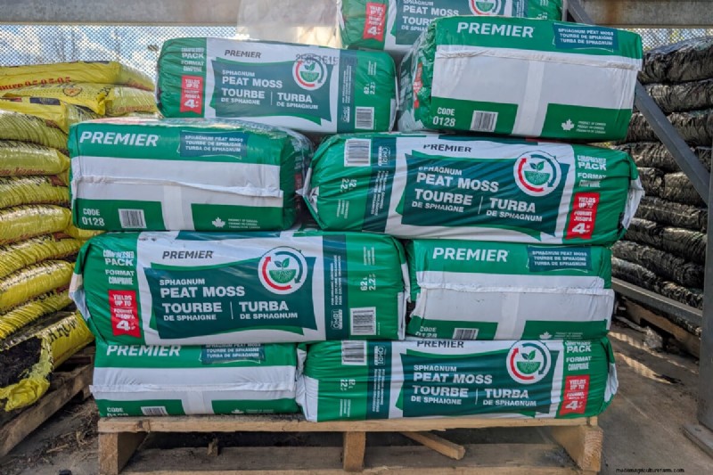 Avoid These Common Mistakes at Your Local Garden Center