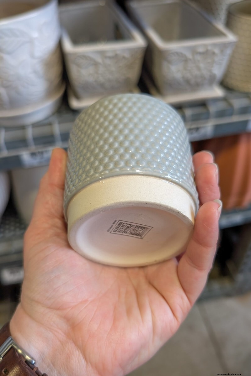 Avoid These Common Mistakes at Your Local Garden Center