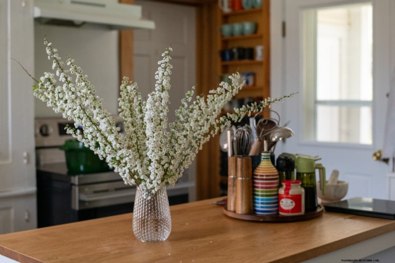 Bridal Wreath Spirea Care: Essential Tips for a Stunning Garden