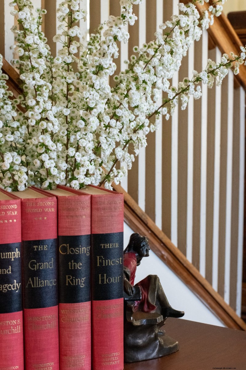Bridal Wreath Spirea Care: Essential Tips for a Stunning Garden