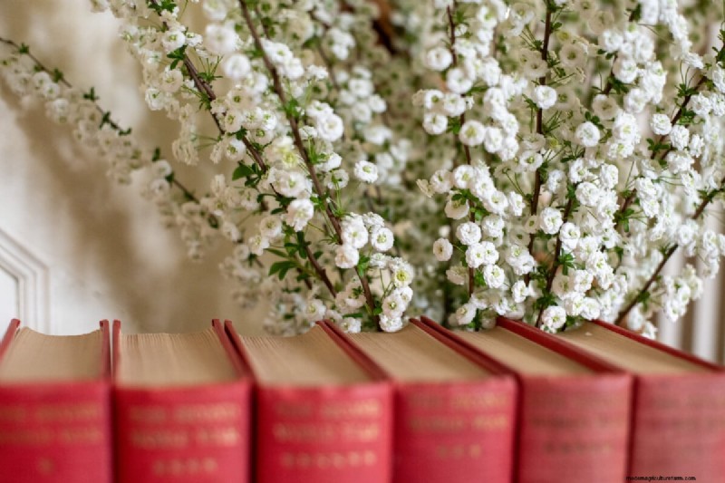 Bridal Wreath Spirea Care: Essential Tips for a Stunning Garden