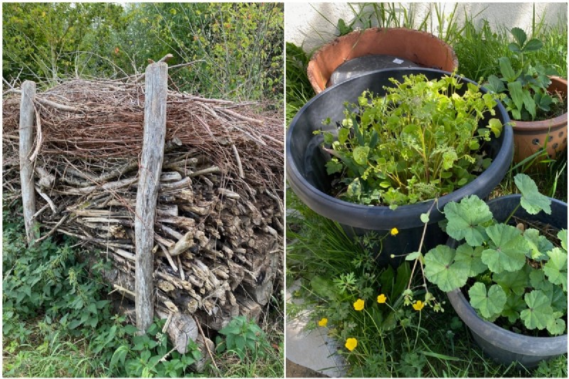 Transform Garden Corners: 7 Simple & Creative Ideas