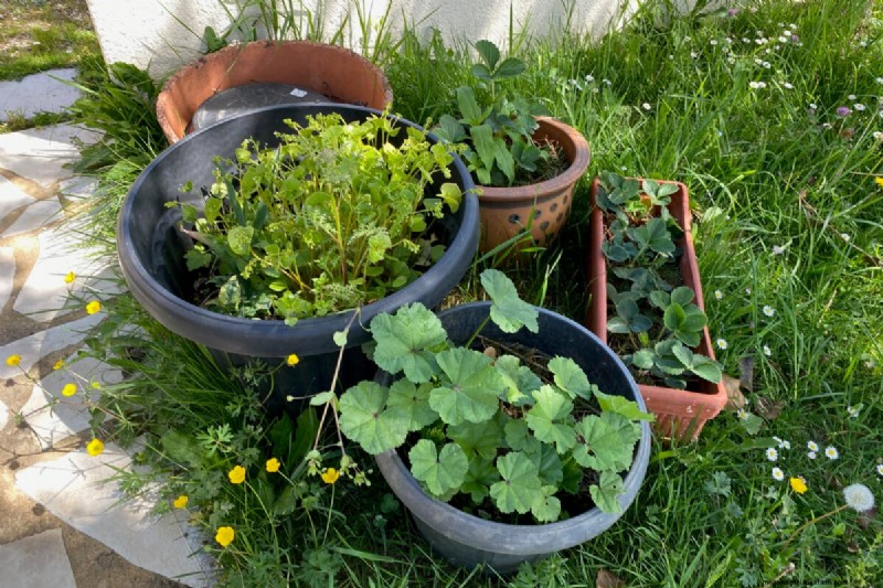 Transform Garden Corners: 7 Simple & Creative Ideas