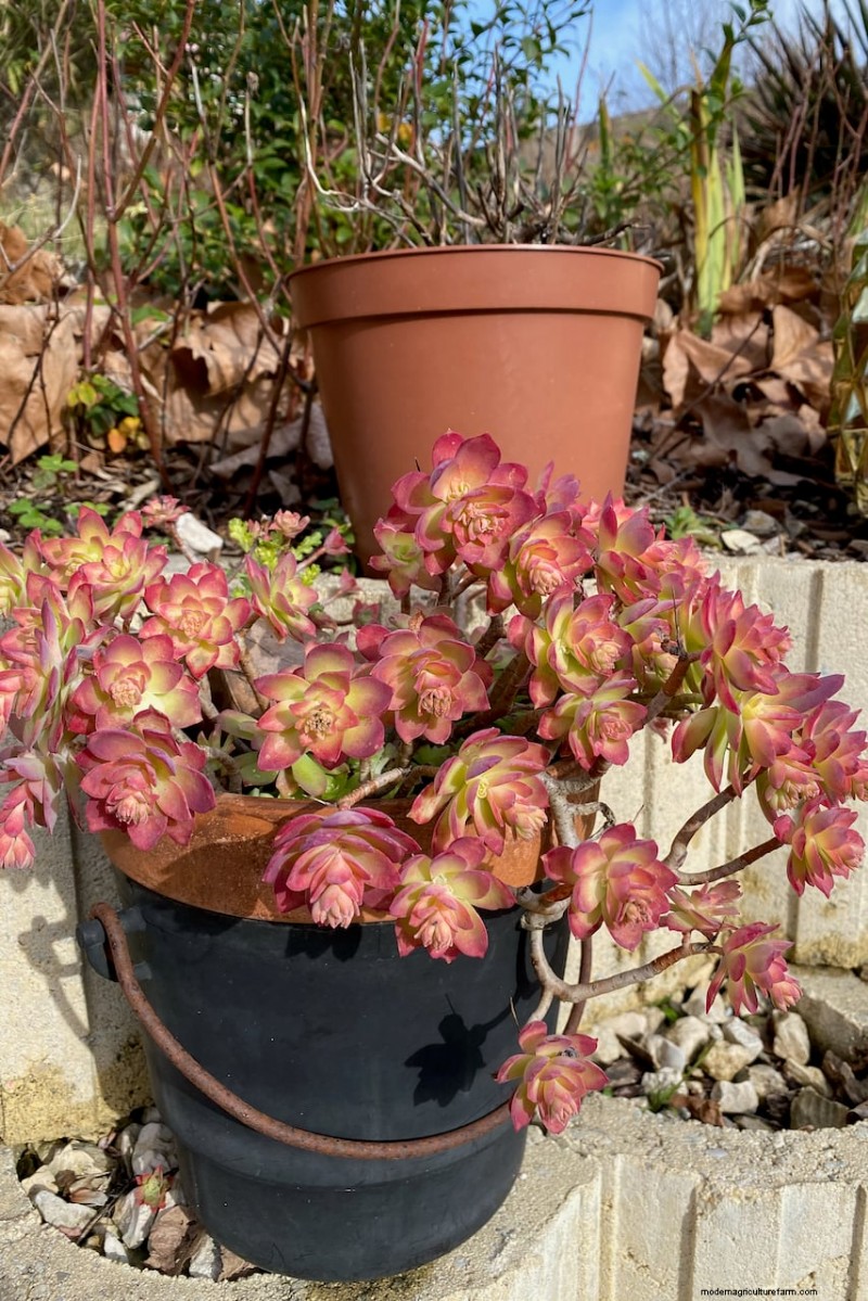 Transform Garden Corners: 7 Simple & Creative Ideas