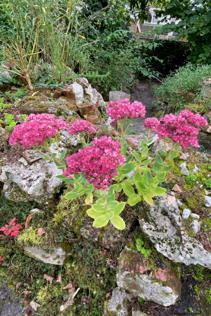 Transform Garden Corners: 7 Simple & Creative Ideas
