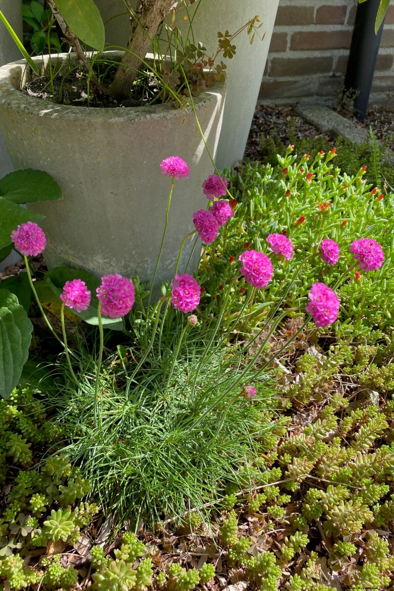 Transform Garden Corners: 7 Simple & Creative Ideas