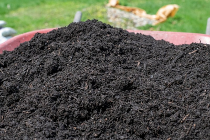 Protect Your Garden: Spring Pest Prevention Strategies
