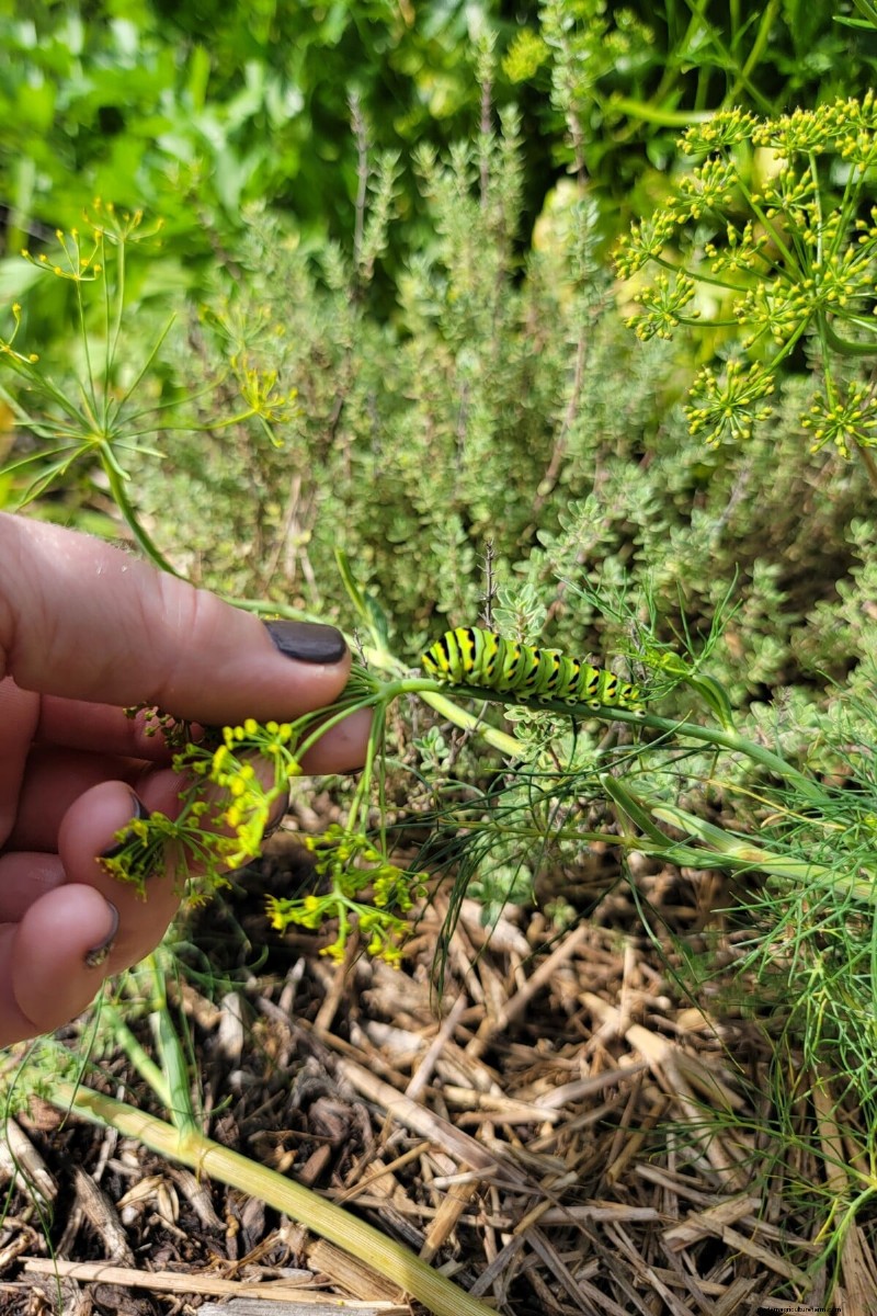Protect Your Garden: Spring Pest Prevention Strategies