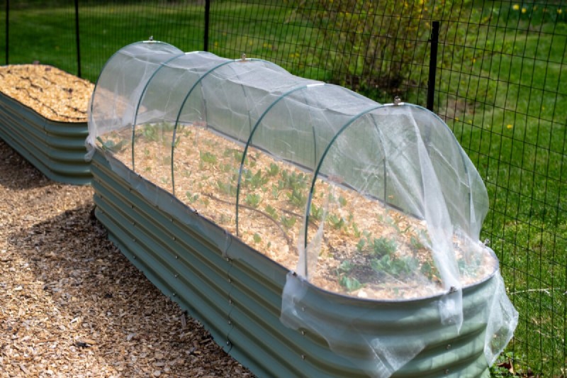 Protect Your Garden: Spring Pest Prevention Strategies