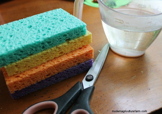 DIY Butterfly Nectar Recipe: Attract Butterflies to Your Garden