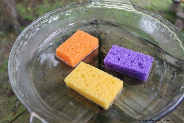 DIY Butterfly Nectar Recipe: Attract Butterflies to Your Garden