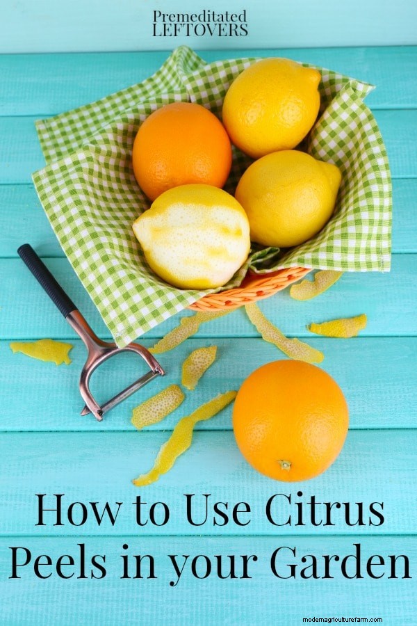 Unlock Your Garden s Potential: 5 Creative Uses for Citrus Peels