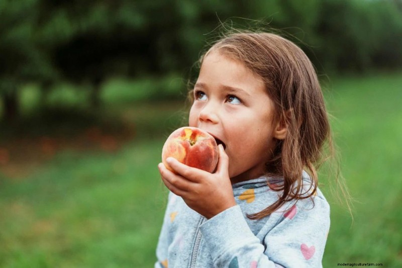 Grow Your Own Fruit: Cultivating Healthy Eating Habits for Families