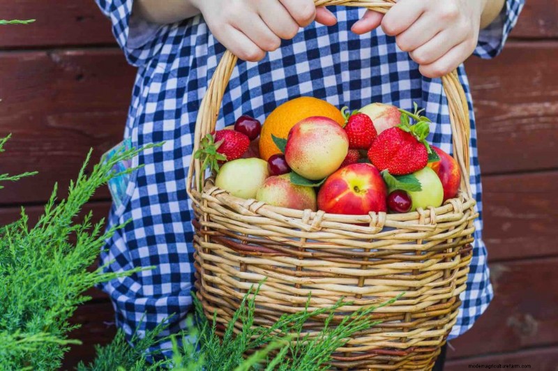 Grow Your Own Fruit: Cultivating Healthy Eating Habits for Families