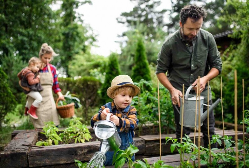 Grow Your Own Fruit: Cultivating Healthy Eating Habits for Families