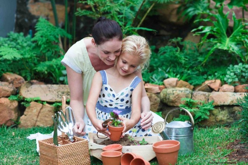 Cultivating Connection: Growing Herbs as a Family Activity