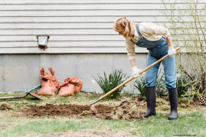 Sustainable Gardening: Grow More with Eco-Friendly Practices