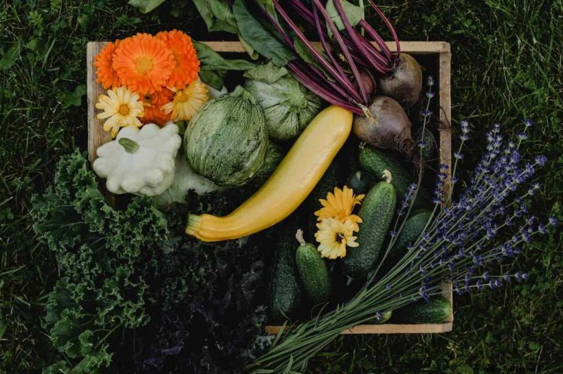 Harvest to Winter: Expert Guide to Food Storage & Preservation