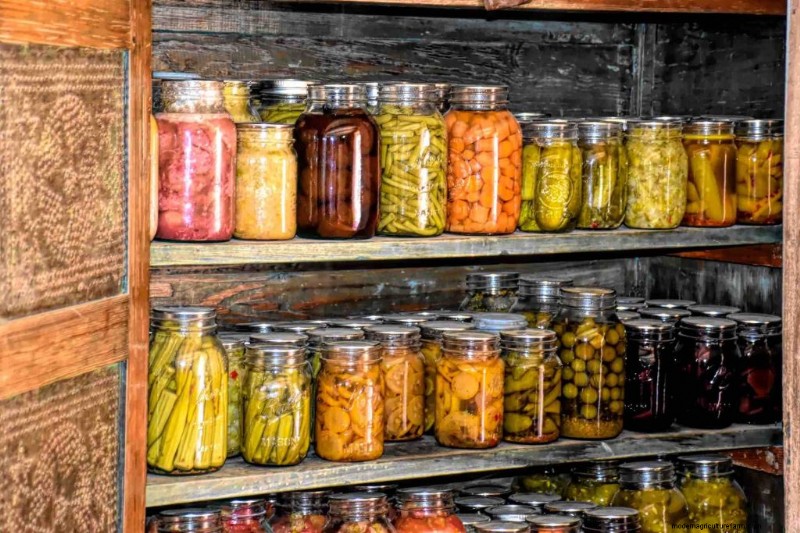 Harvest to Winter: Expert Guide to Food Storage & Preservation