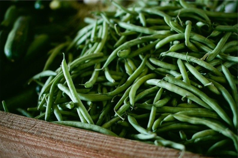 Beginner s Guide: 10 Easiest Vegetables to Grow at Home