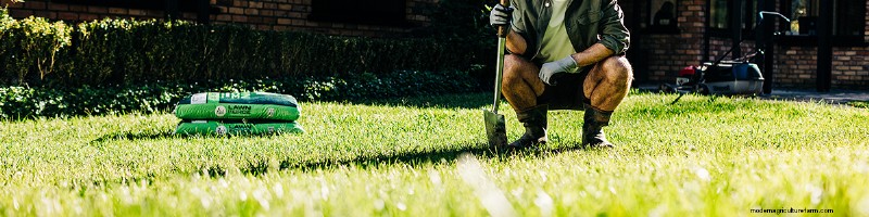 Prepare Your Lawn for Success: A Comprehensive Guide
