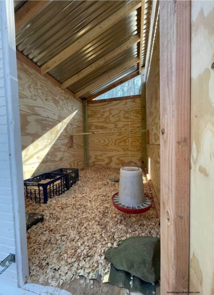 Winter Chicken Care: 17 Expert Tips to Keep Your Flock Warm