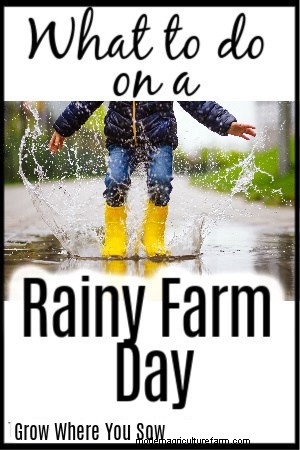 Rainy Day Farm Activities: 60+ Fun Ideas for Homesteaders & Families