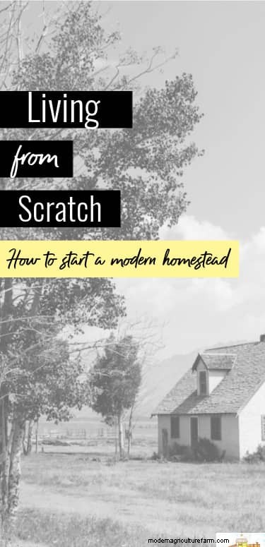 Start Your Homestead: A Beginner s Guide to Self-Sufficiency