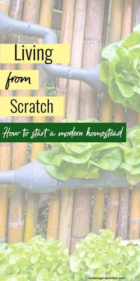 Start Your Homestead: A Beginner s Guide to Self-Sufficiency