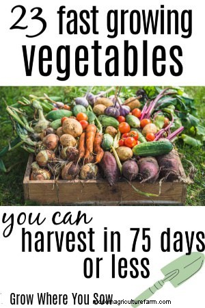 Rapidly Growing Vegetables & Fruits: Harvest in Under 75 Days