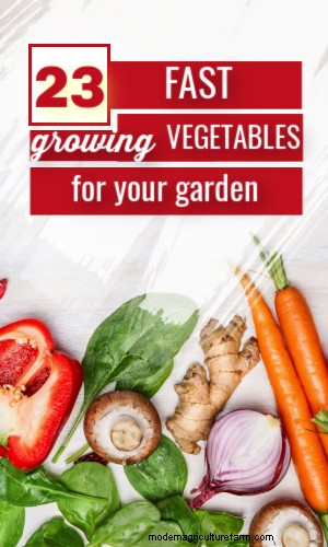 Rapidly Growing Vegetables & Fruits: Harvest in Under 75 Days