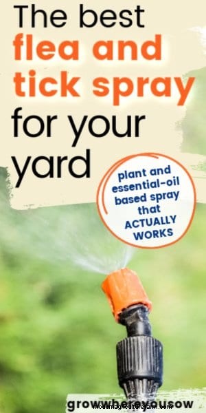 Vet s Best Flea & Tick Yard Spray Review: Safe, Effective & Chemical-Free