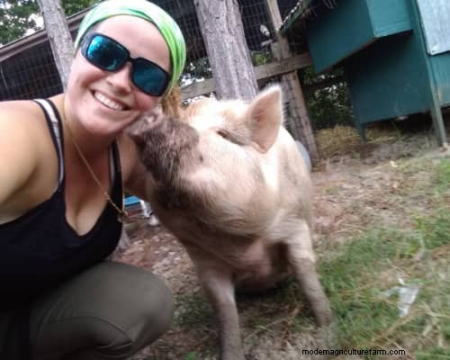 Raising & Processing Pigs: A Farmer s Reflection