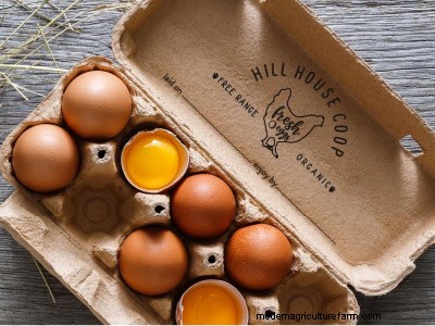 Best Gift Ideas for Homesteaders & Hobby Farmers - 2024